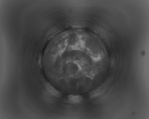 X0000095520185200801041231