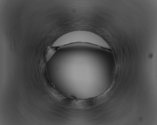 X0000095520186200801041231