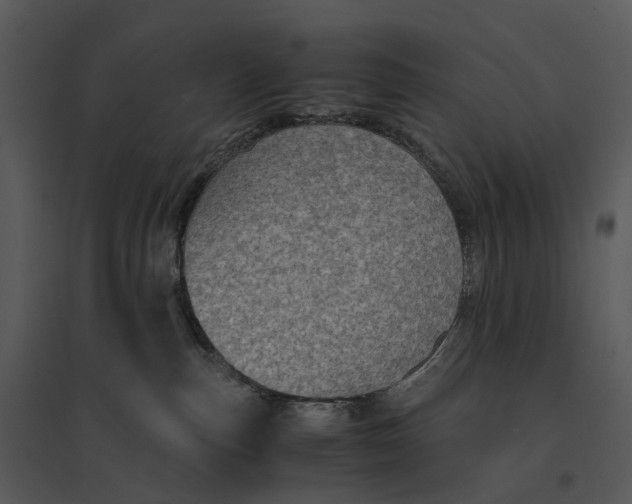 X0000095520187200801041231