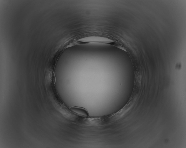 X0000095520188200801041231