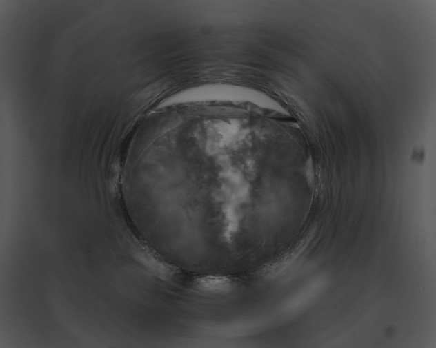 X0000095520189200801041231