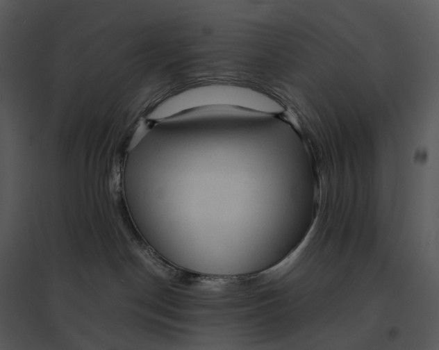 X0000095520190200801041231