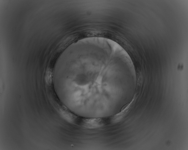 X0000095520191200801041231