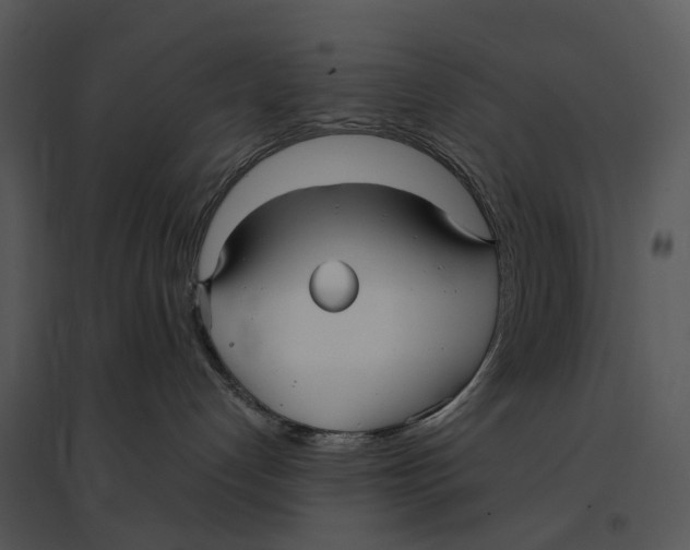 X0000095520192200801041231