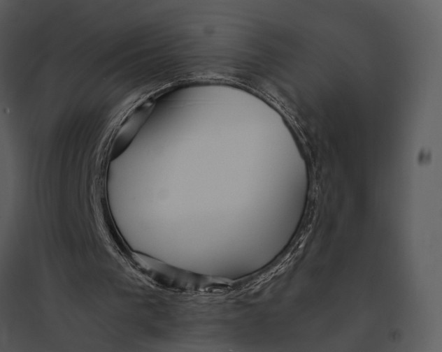 X0000095520193200801041230