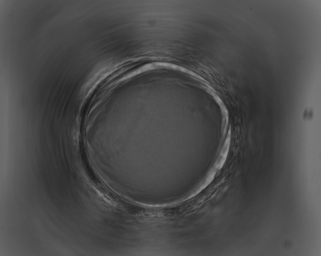 X0000095520194200801041230