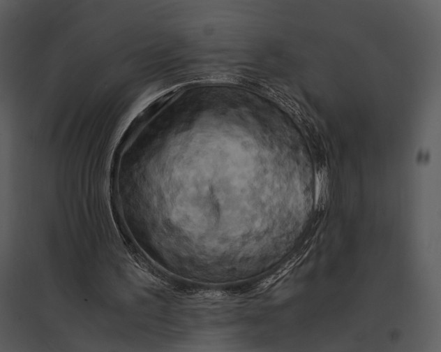 X0000095520195200801041230