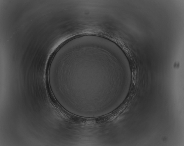 X0000095520196200801041230