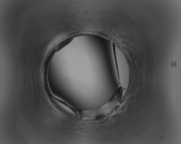 X0000095520197200801041230