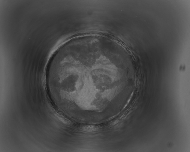 X0000095520198200801041230