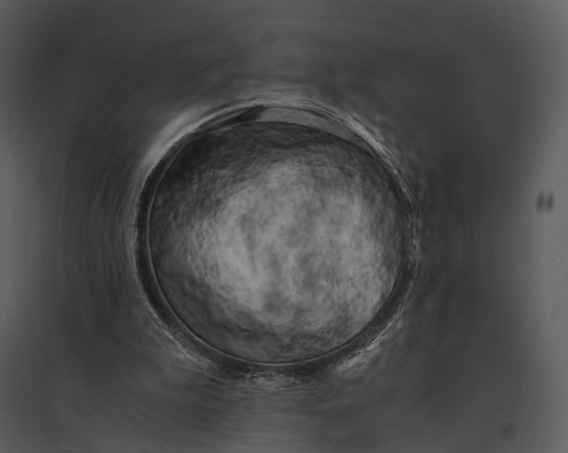 X0000095520199200801041230