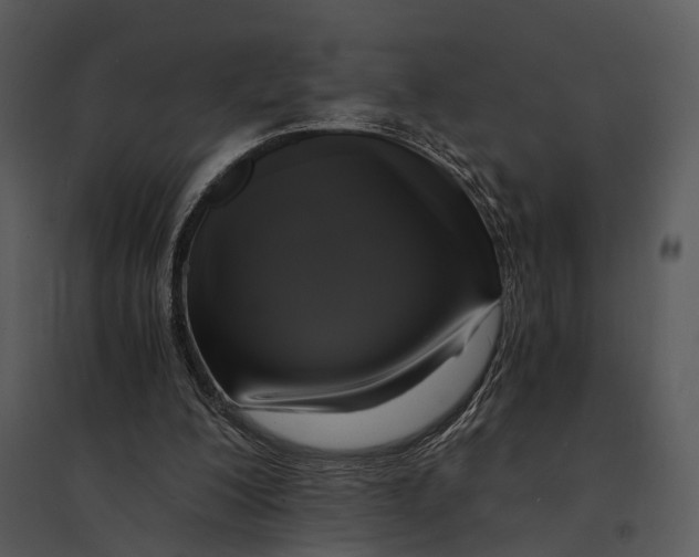 X0000095520200200801041230