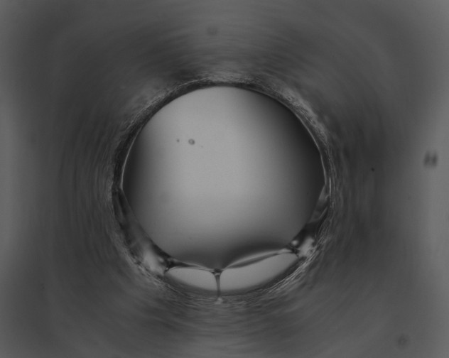 X0000095520201200801041230