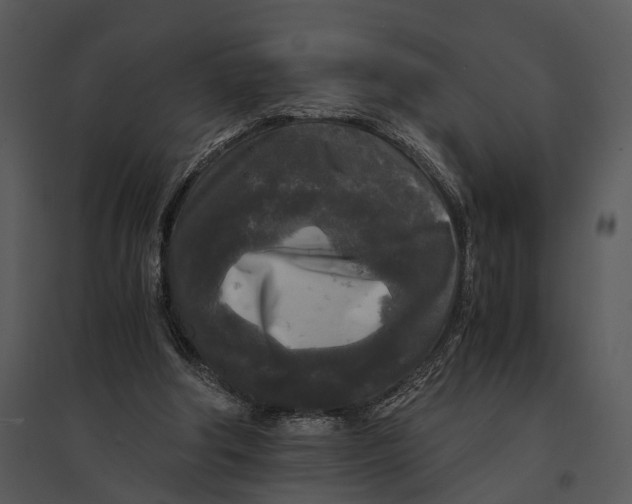 X0000095520202200801041230