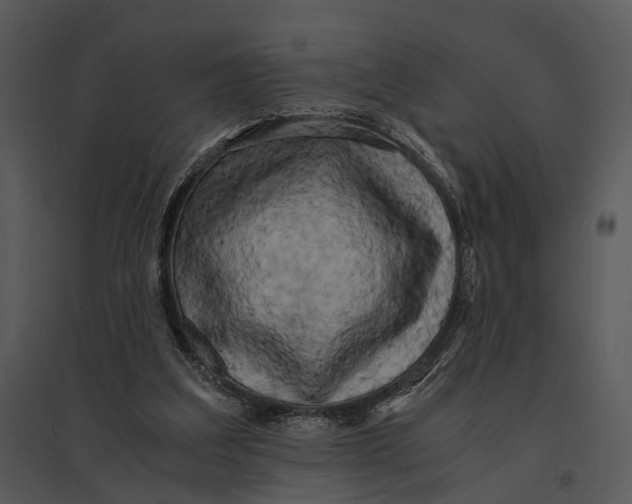 X0000095520203200801041230