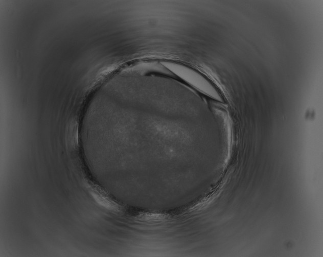 X0000095520205200801041230