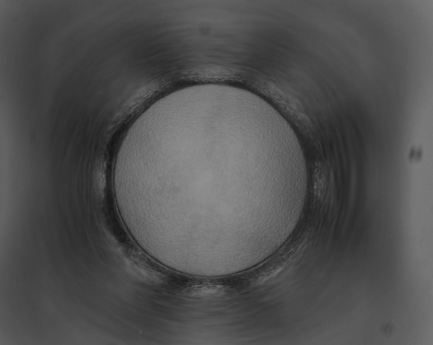 X0000095520206200801041230