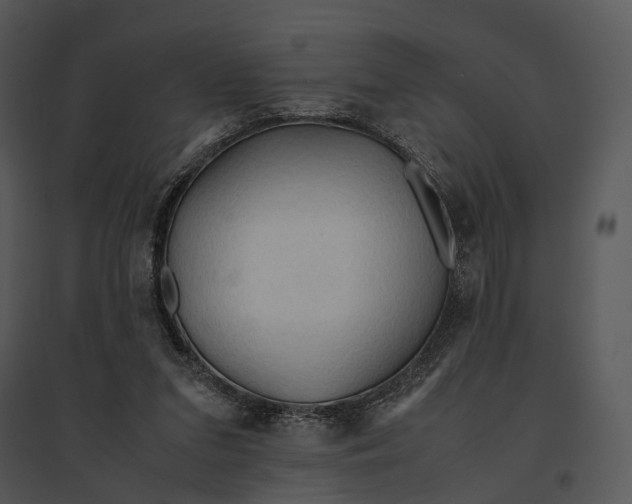 X0000095520207200801041230