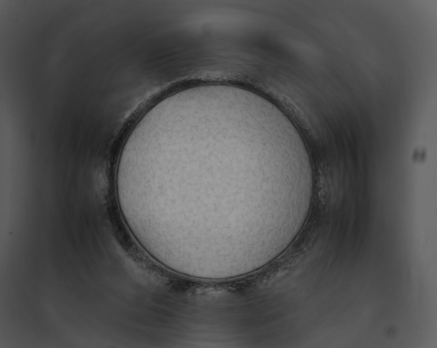 X0000095520208200801041230