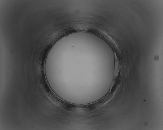 X0000095520209200801041230