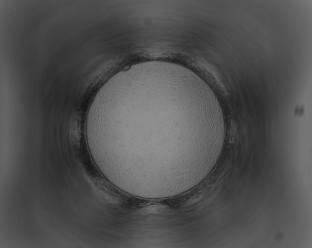 X0000095520210200801041230