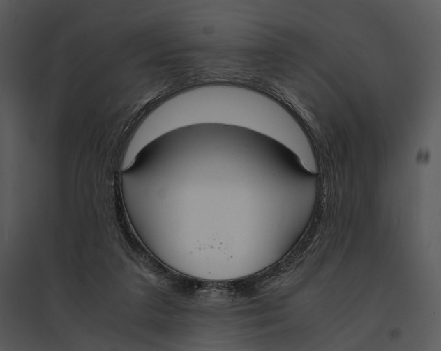 X0000095520211200801041230