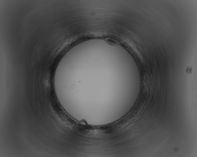 X0000095520212200801041230