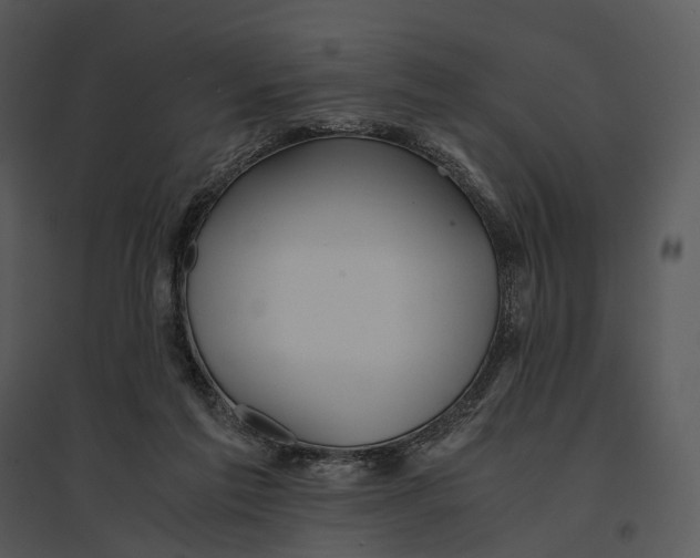 X0000095520213200801041230