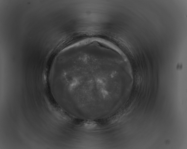 X0000095520214200801041230