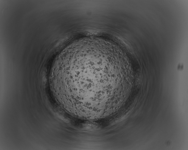 X0000095520215200801041230