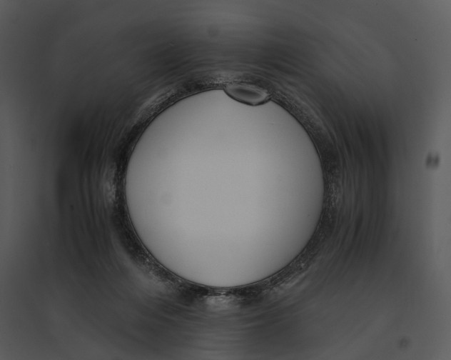 X0000095520216200801041230