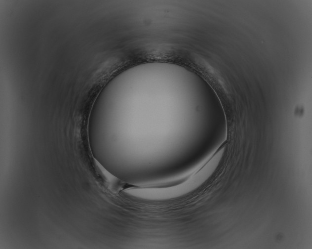 X0000095520217200801041230