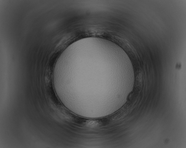 X0000095520218200801041230