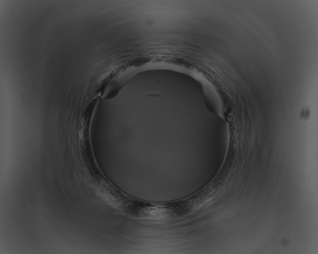 X0000095520219200801041230