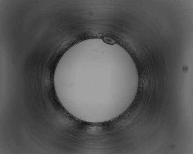 X0000095520220200801041230