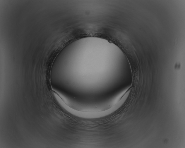 X0000095520221200801041230