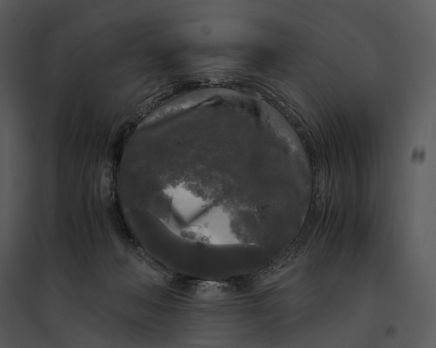 X0000095520222200801041230