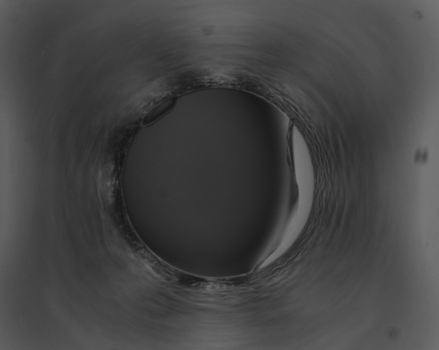 X0000095520223200801041230