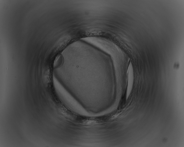 X0000095520224200801041230