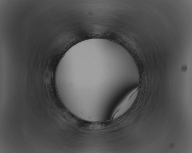 X0000095520225200801041230