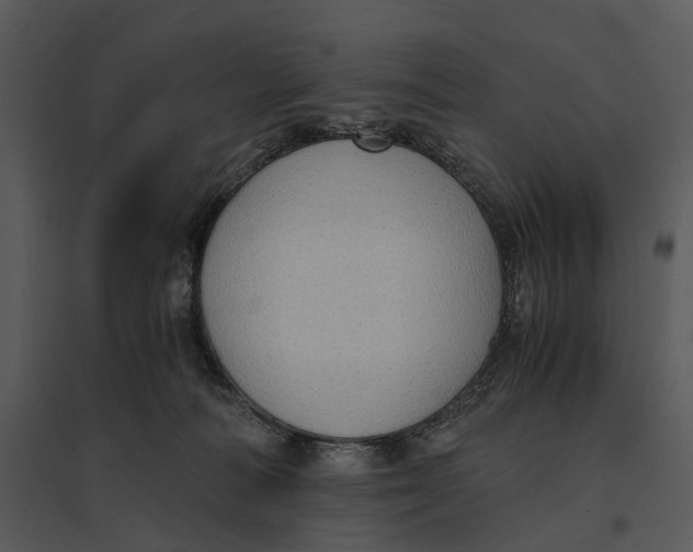 X0000095520226200801041230