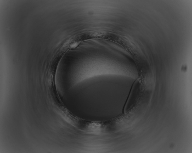 X0000095520227200801041230