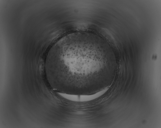 X0000095520228200801041230