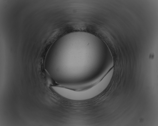 X0000095520229200801041230