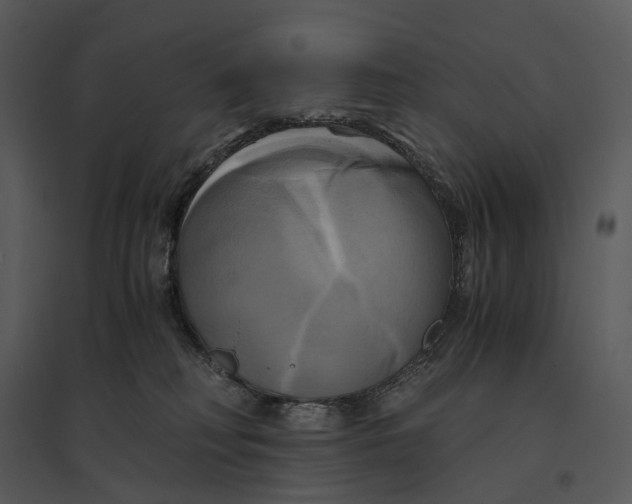 X0000095520230200801041230