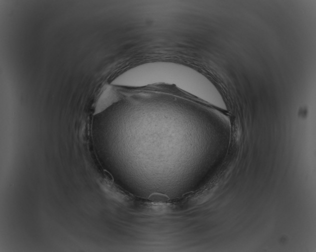 X0000095520233200801041230