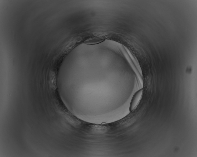 X0000095520234200801041230