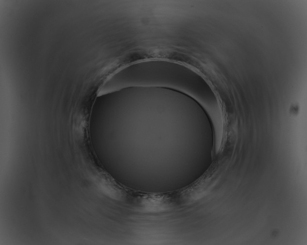 X0000095520235200801041230