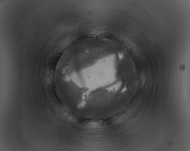 X0000095520236200801041230