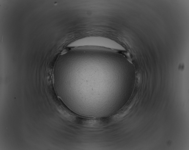 X0000095520237200801041230